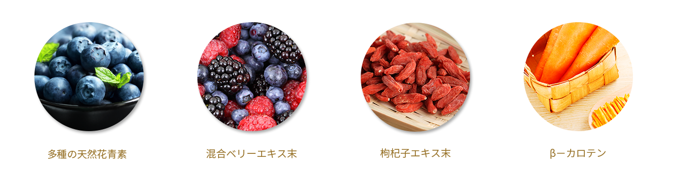 蓝莓-日文成分_06.png
