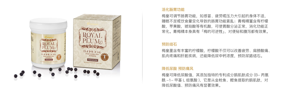 梅皇-主要功效-中文.jpg