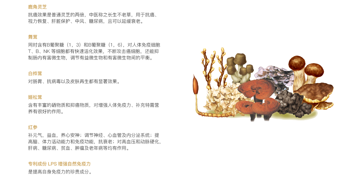 自爱-主要功效_02.jpg